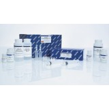 Набор QIAGEN Plasmid Plus Maxi Kit для выделения плазмидной ДНК(100 реакций)