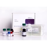 Набор реагентов SVANOVIR® BCV-Ab для обнаружения антител к коронавирусу КРС методом ИФА(2 планшета)